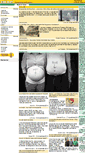 Mobile Screenshot of houblon.net